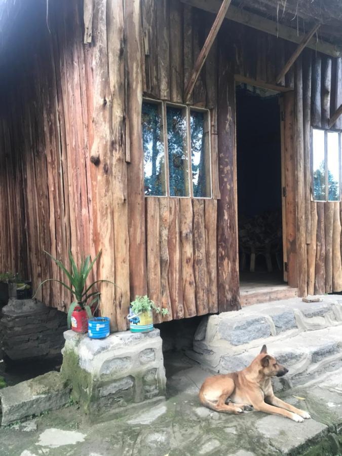 Kalitusi Nature Resort 포트포털 외부 사진