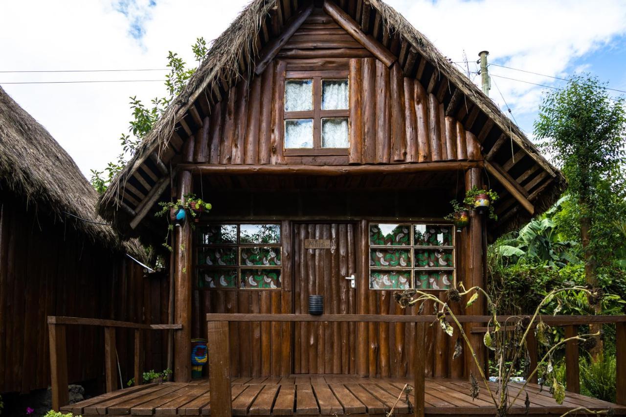Kalitusi Nature Resort 포트포털 외부 사진
