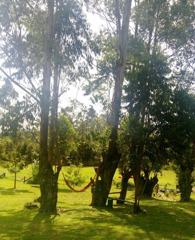 Kalitusi Nature Resort 포트포털 외부 사진