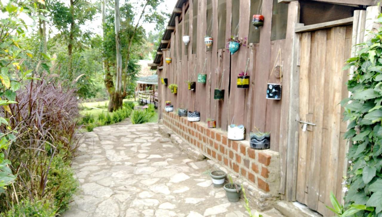 Kalitusi Nature Resort 포트포털 외부 사진